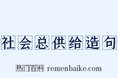 社会总供给造句是什么意思的图片
